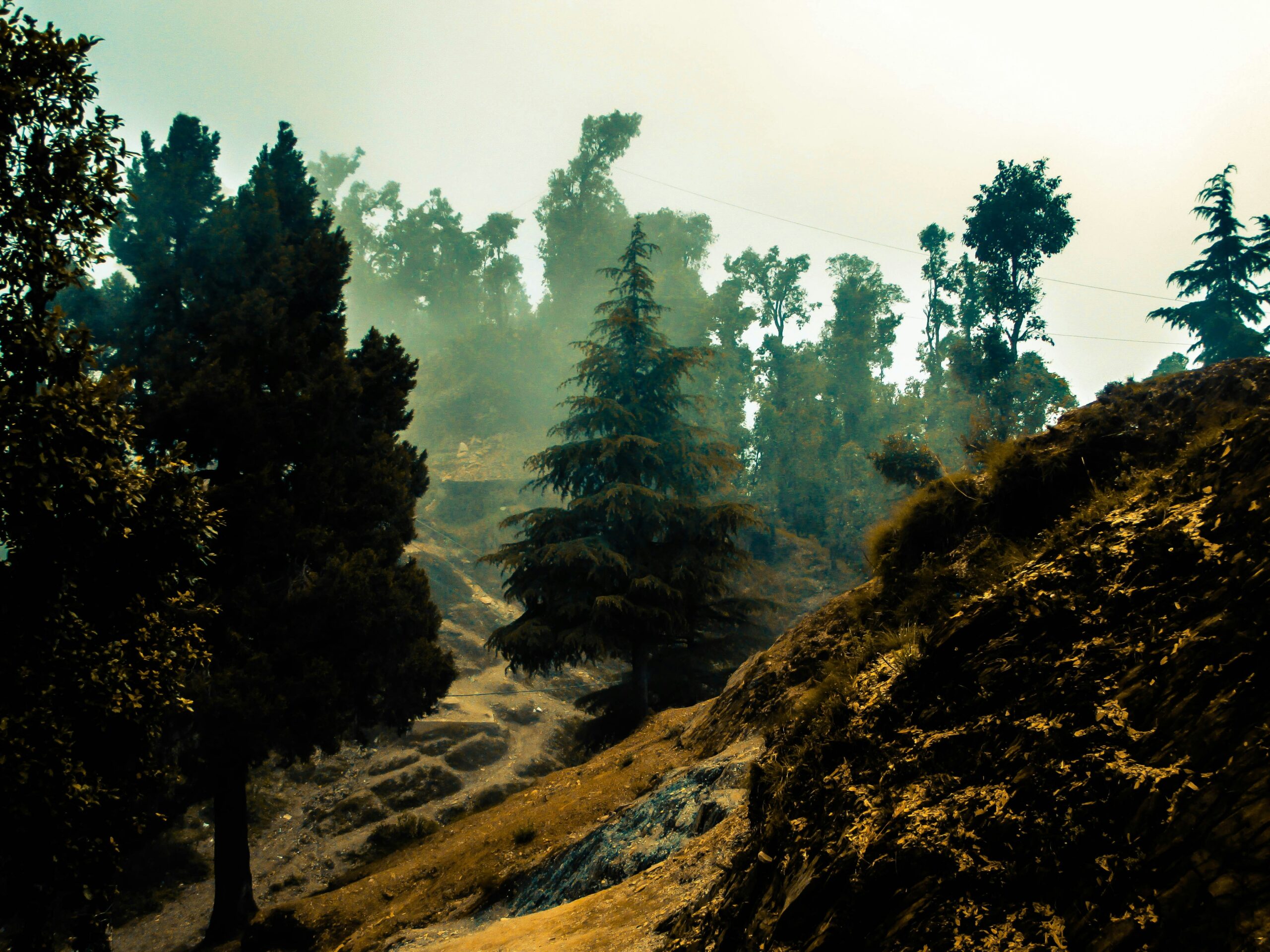 Best Places to Visit in Dehradun and Exploring Its Streets