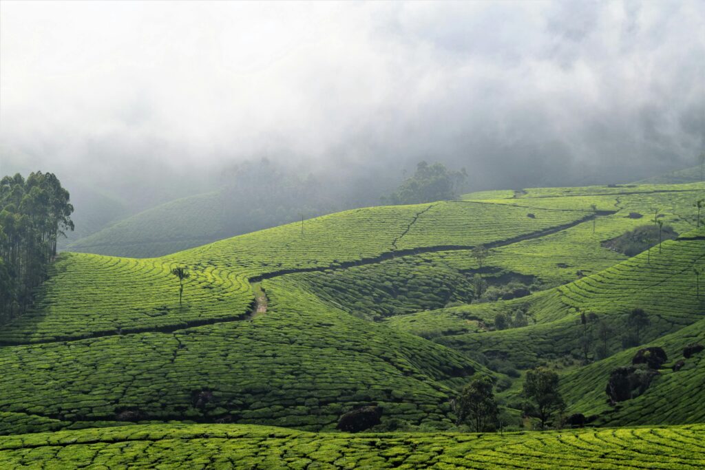 Kerala travel itinerary in Winter